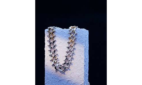 EMPHASIS艾斐诗携手时装品牌ANAÏS JOURDEN  推出全新MMXXI「越」系列